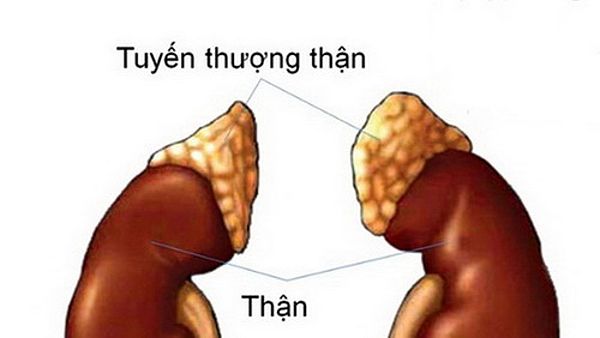 Áp Dụng Mã ICD-10 Trong Thực Hành Y Tế 2