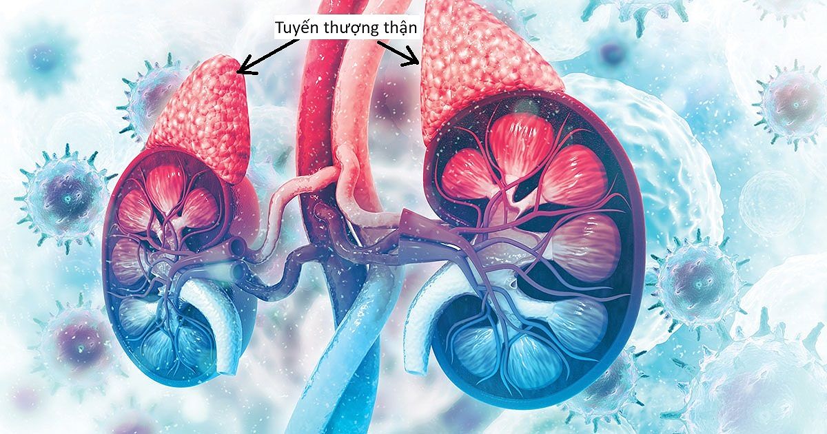 Bệnh lý liên quan đến suy tuyến thượng thận