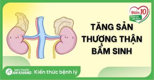 Mua Thuốc Chữa Trị Tăng Sản Thượng Thận Ở Đâu