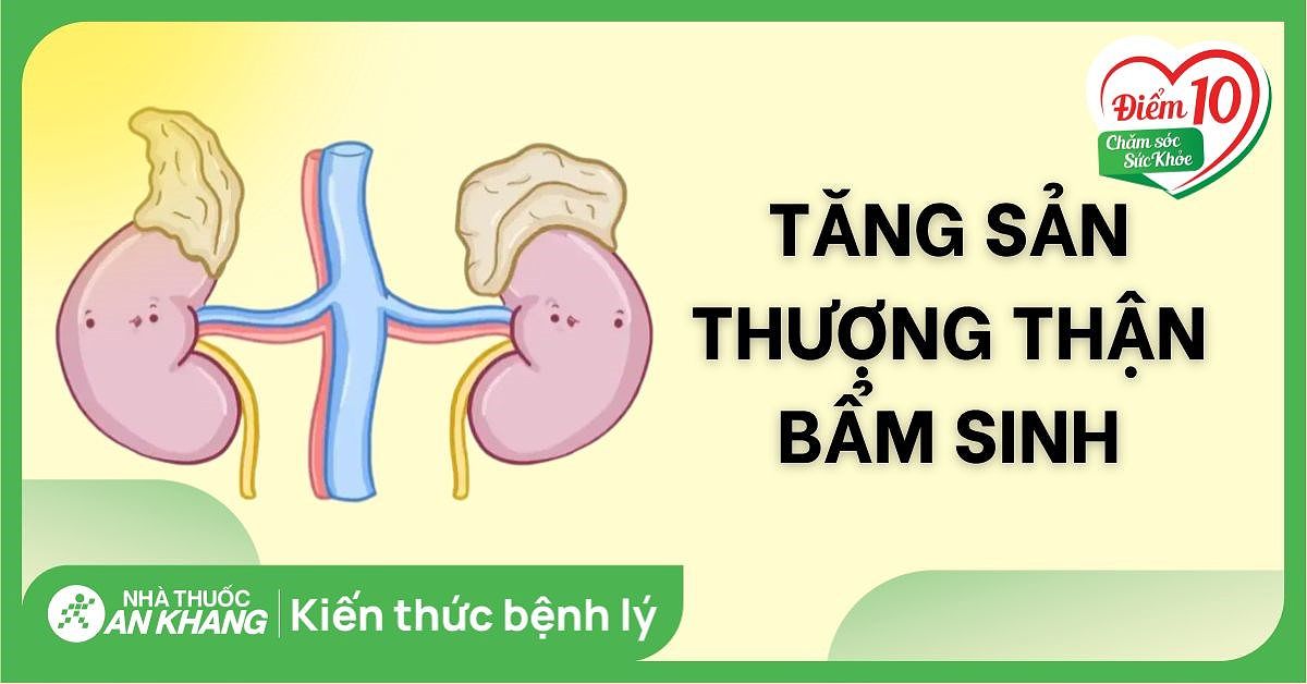 Mua Thuốc Chữa Trị Tăng Sản Thượng Thận Ở Đâu