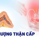 Quỹ Hỗ Trợ Người Bị Lupus Ban Đỏ Thượng Thận