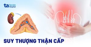 Nguyên Nhân Suy Tuyến Thượng Thận Cấp