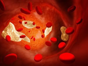 Tuyến Thượng Thận Có Khả Năng Tổng Hợp Cholesterol